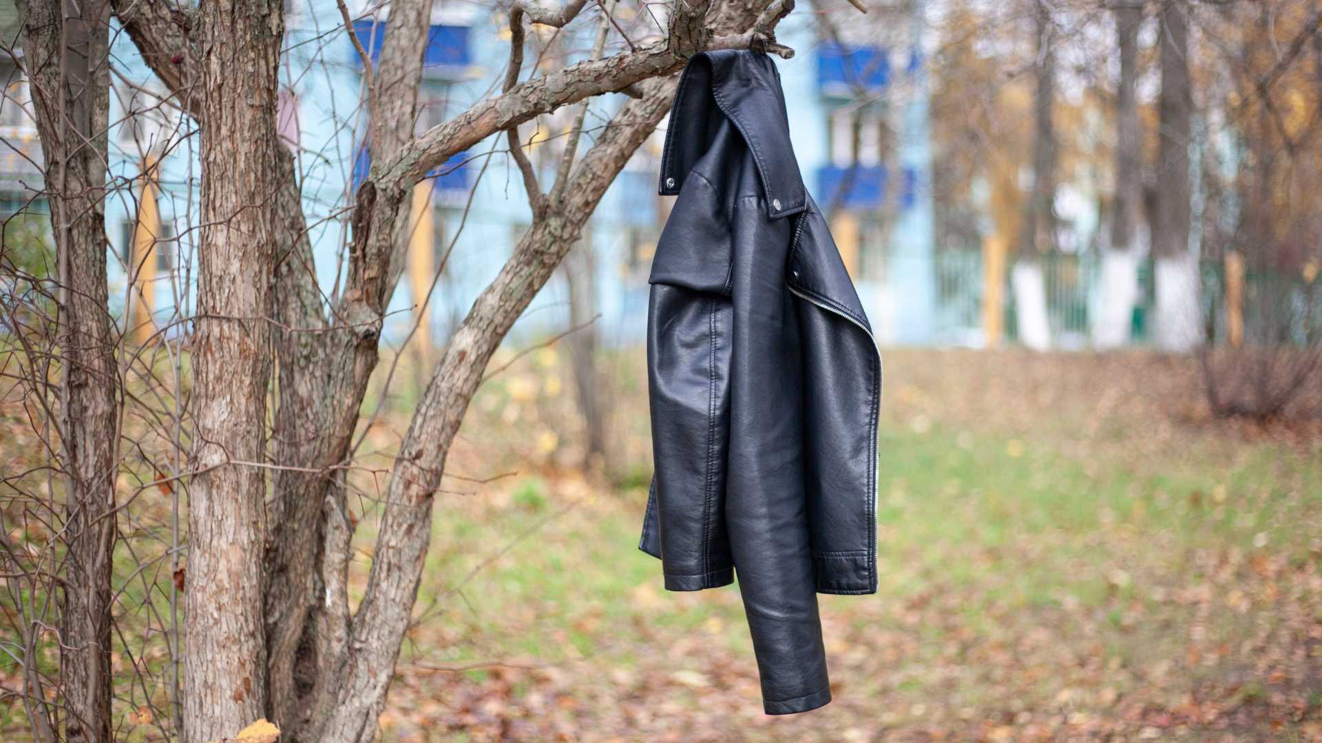 veste en cuir noir accroché à un arbre